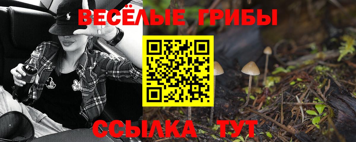 где купить   Галлюциногенные грибы ЛСД  Вход с VPN  Кувандык  Псилоцибиновые грибы Psilocybine cubensis 