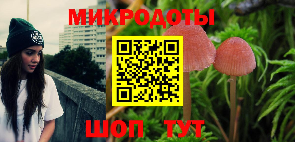 Галлюциногенные грибы Psilocybe Кувандык